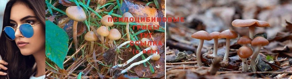 спайс Армянск