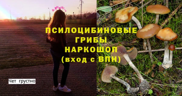 прущая мука Арсеньев
