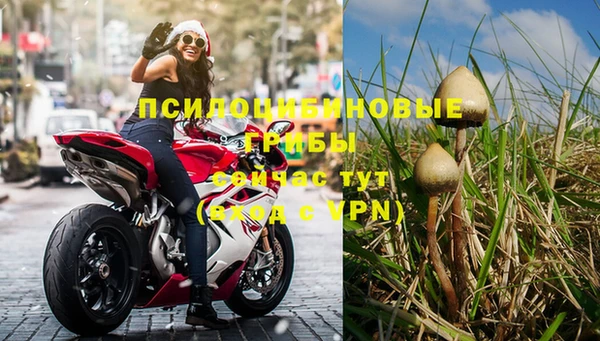 прущая мука Арсеньев