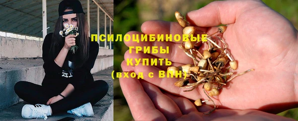 прущая мука Арсеньев