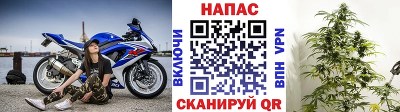 мега зеркало  Скопин  Каннабис ГИДРОПОН 
